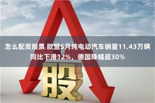 怎么配资股票 欧盟5月纯电动汽车销量11.43万辆同比下滑12%，德国降幅超30%