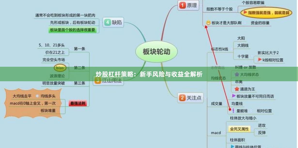 炒股杠杆策略：新手风险与收益全解析